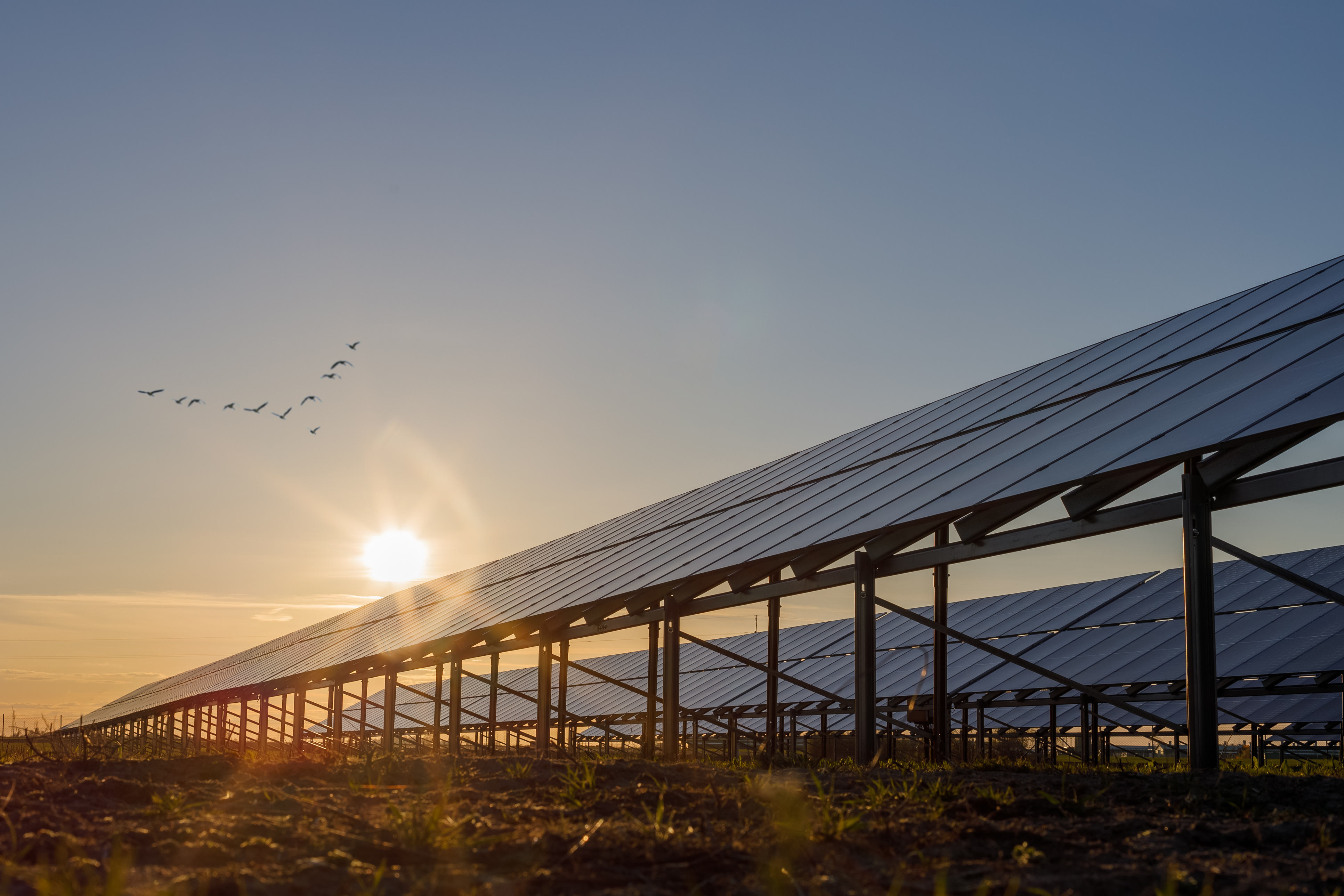 Nachhaltige Energieeffizienz und Monitoring